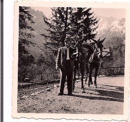 Die Mulis vom Reintaler Hof mit Helmut um 1954