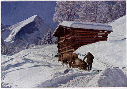 Auf dem Weg zum Reintalerhof im Winter