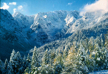 Blick ins Oberreintal vom Reintalerhof