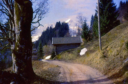 Auf dem Weg zum Reintalerhof