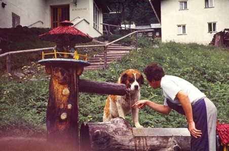 Eine friedliche Zeit am Reintaler Hof. Und Bari passt auf, dass sich alles dreht.