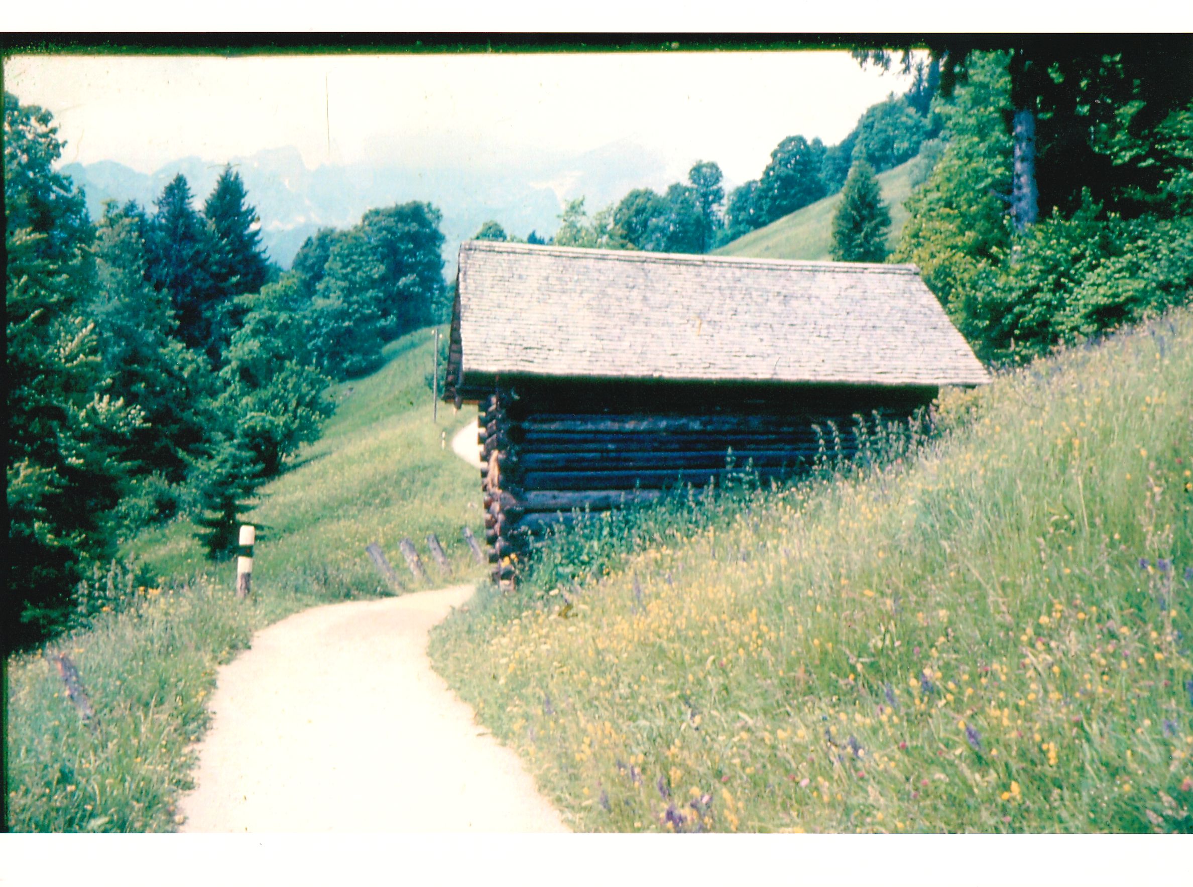 So romantisch ist der Weg über die Partnachalm