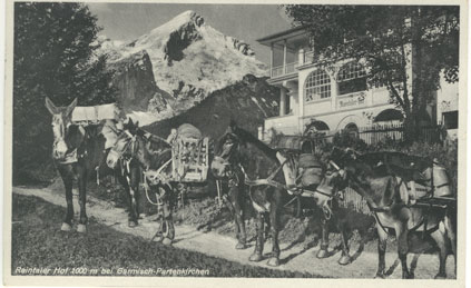 Eine interessante Fälschung am Reintaler Hof