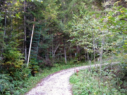 Die Schranke ist offen, der Weg zum Reintalerhof ist frei.