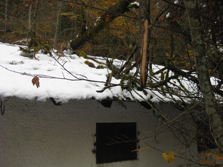 Baum auf dem Kraftwerk des Reintalerhof