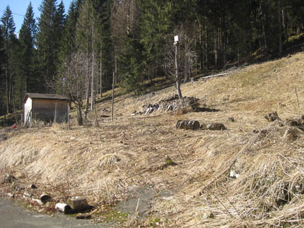 Reintalerhof im März 2020